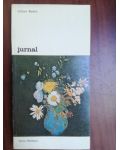 Jurnal- Odilon Redon