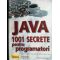 Java 1001 secrete pentru programatori- Mark C.Chan, Steven W.Griffith, Anthony F.Iasi