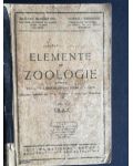 Elemente de zoologie pentru clasa a IV-a secundara si scoli speciale- Alex Sanielevici, Coralia Vernescu
