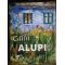 Calin Alupi-ALBUM
