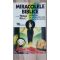 Miracolele biblice incercari de interpretare parapsihologica- Mylan Ryzl