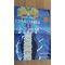 Conectarea cu acturienii- David K.Miller