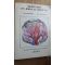 Meditation on biblical medicine- Pavel Chirila, Mihai Valica
