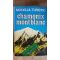 Modelul turistic Chamonix, Mont Blanc- Carmen D.Petrescu