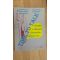 Time to Talk. Activities to Stimulate Conversation (Grades 2-8)- E. Comisel, V.Stancu, A.Serban