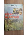 Viitor in Carpati- Radu Rey