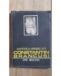 Estetica operei lui Constantin Brancusi- Ion Mocioi