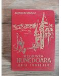 Regiunea Hunedoara- Octavian Floca