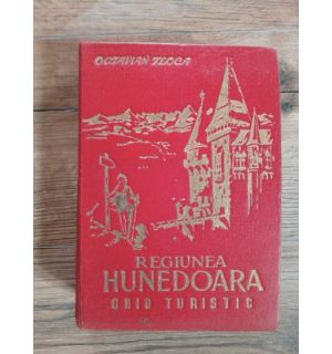 Regiunea Hunedoara- Octavian Floca