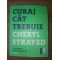 Curaj cat trebuie- Cheryl Strayed