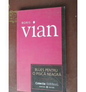 Blues pentru o pisica neagra