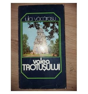 Valea Trotusului- Iulia Vacarasu