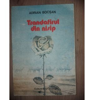 Trandafirul din nisip- Adrian Bocsan