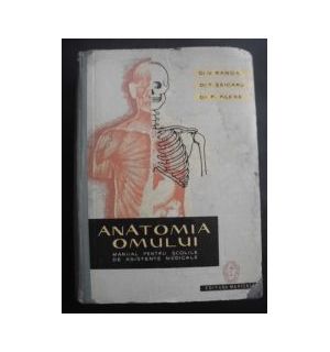 Anatomia omului