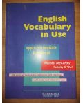 English vocabulary in use