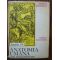 Anatomia umana