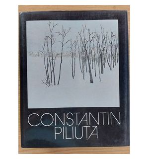 Peisajele amintirii- Constantin Piluta