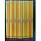 BBC MUZZY Curs multilingvistic Nivel 2 - 13 - DVD/ CD-rom si carte