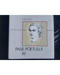 Pasii poetului- G. Dorian
