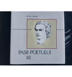 Pasii poetului- G. Dorian
