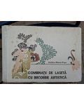 Combinatii de laseta cu broderie srtistica Vasiliza Zidaru-Popa