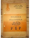 Pulberea poliamidica Pelon P6P