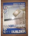 Programarea in C++ Builder- Mihai Oltean, Crina Grosan