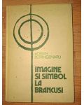 Imagine si simbol la Brancusi Adrian Petringenaru