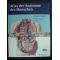 Atlas der Anatomie des Menschen