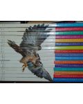Eniclopedia practica a familiei 16 volume