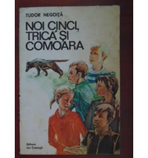 Noi 5, Trica si comoara