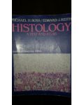 Histology a text and atlas