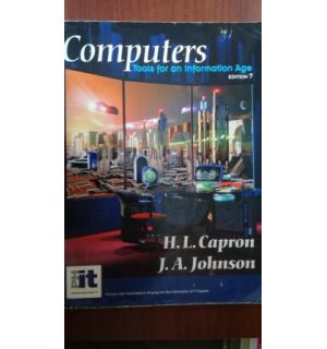Business and information systems