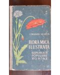 Flora mica ilustrata a Republicii Populare romane