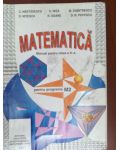 Matematica manual pentru clasa a X-a