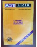 Algebra (cls. a X-a)