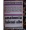 Anatomia balenei albe-Marcel Pop Cornis