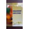 Management educational