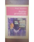 Analize gramaticale Aurel Nicolescu