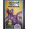 The second dragon- Joseph Rosenbloom