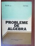 Probleme de algebra- Ion D. Ion, Constantin Nita