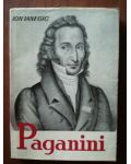 Paganini- Ion Ianegic