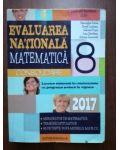 Evaluarea Nationala matematica consolidare 2017- Gheorghe Iurea, Dorel Luchian
