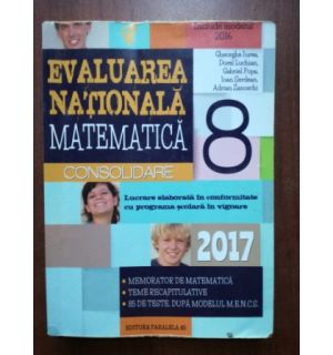 Evaluarea Nationala matematica consolidare 2017- Gheorghe Iurea, Dorel Luchian