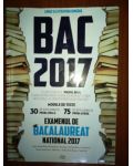 Bac 2017 modele de teste limba si literatura romana