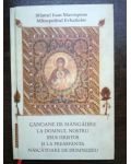 Canoane de mangaiere la Domnul Nostru Iisus Hristos si la Preasfanta Nascatoare de Dumnezeu- Sfantul Ioan Mavropous