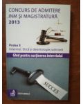 Concurs de admitere INM si Magistratura 2013 proba 3- Cristi Danilet