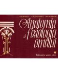 Anatomia si fiziologia omului Indrumator pentru elevi - R.carmaciu C.th. Niculescu Leila Torsan