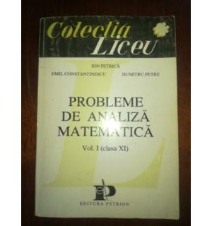Probleme de analiza matematica 1 (cls. XI)- Ion Petrica, Emil Constantinescu