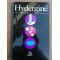 Hydergine proprietes et principales indications